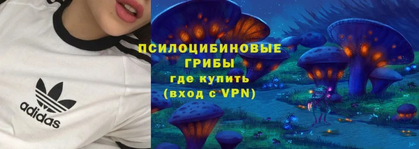 спиды Верея