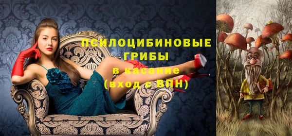 спиды Верея