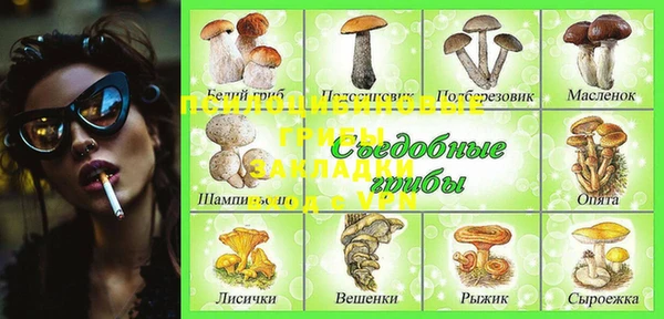 MDMA Верхний Тагил
