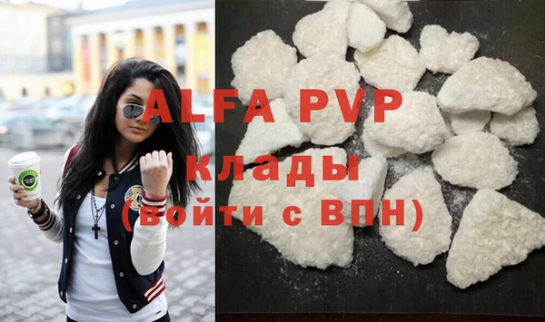 спиды Верея