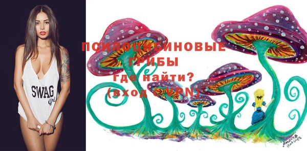 спиды Верея