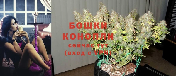 спиды Верея
