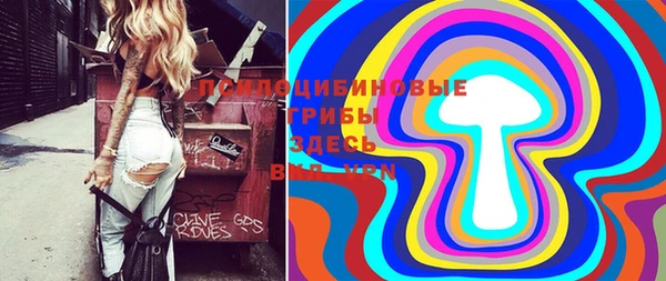 MDMA Верхний Тагил