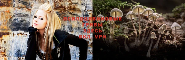 спиды Верея