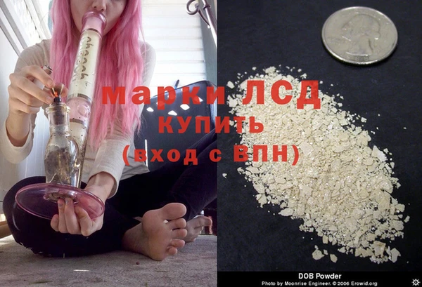 спиды Верея